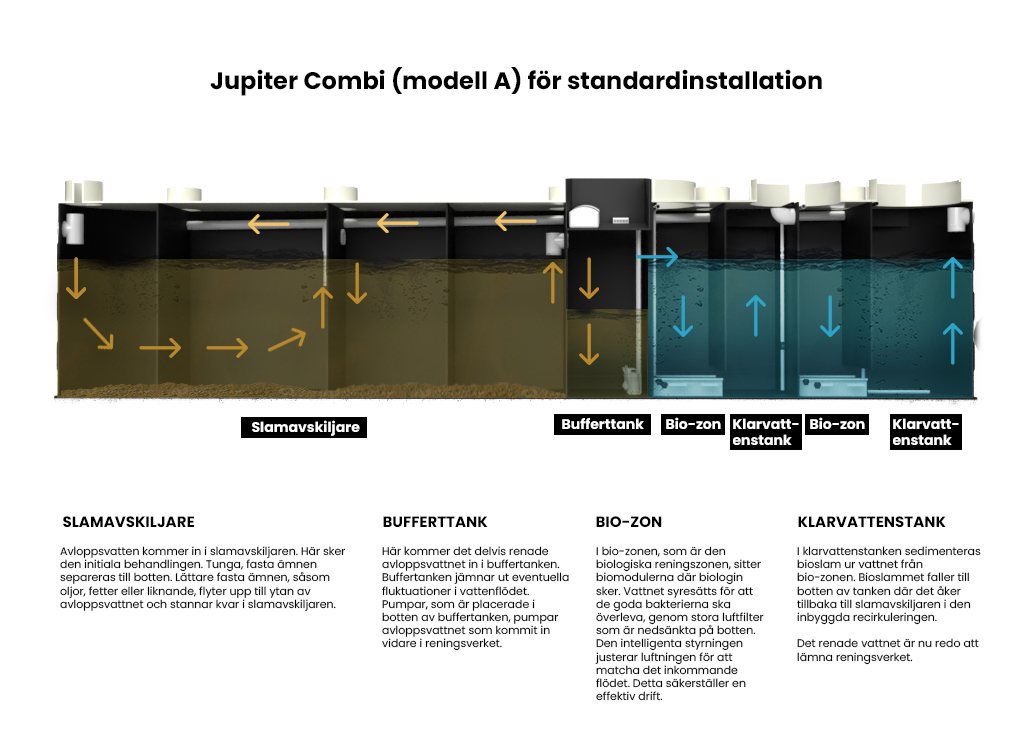 BioKube Jupiter Kombi 120PE - Bild 2